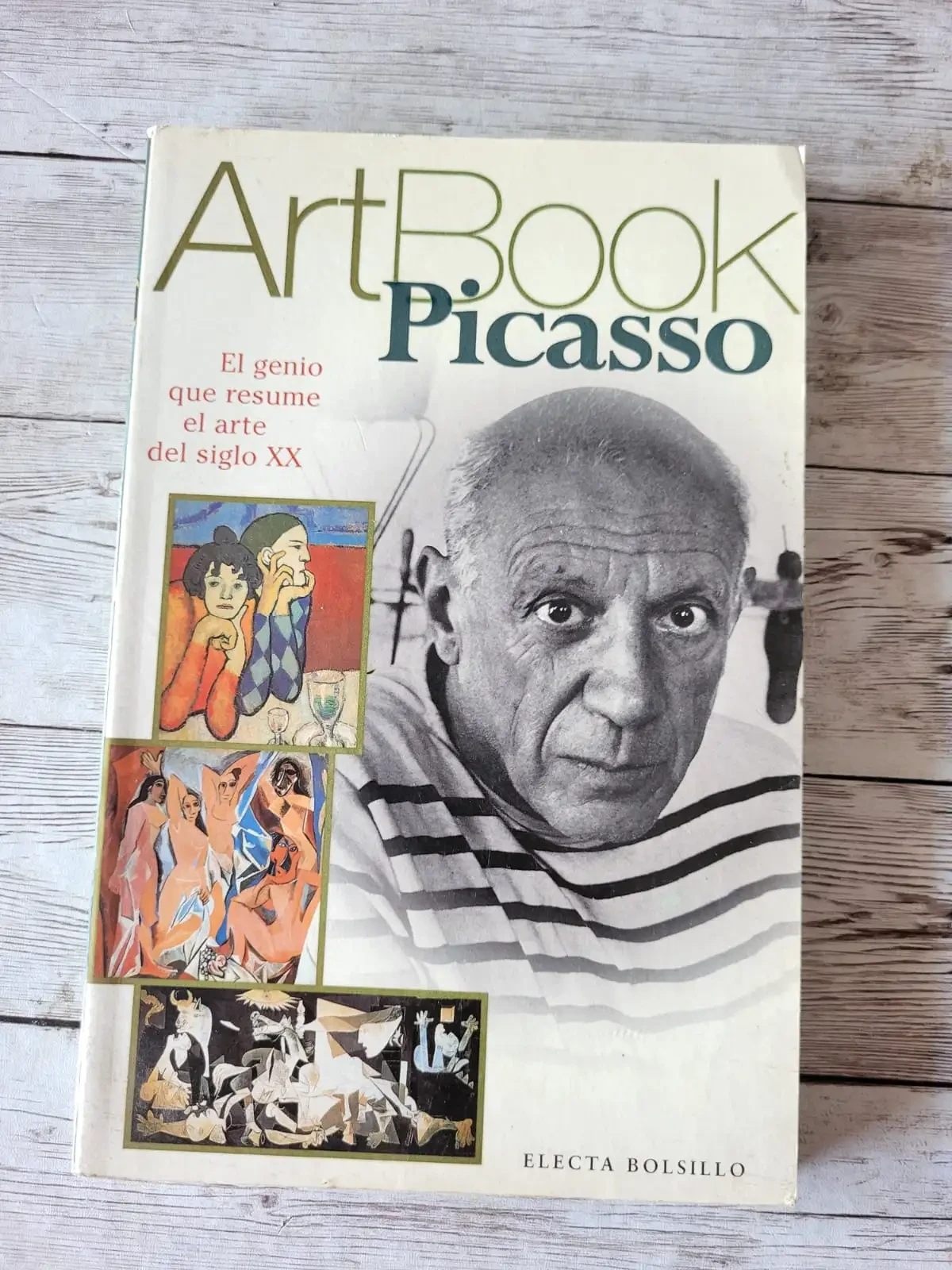 Picasso / Art Book /Arte