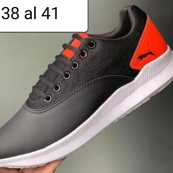 Puma 3