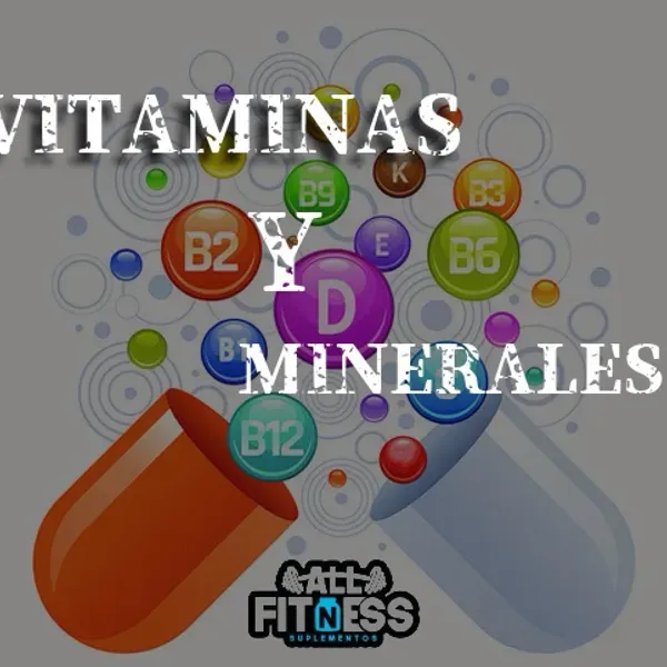 VITAMINAS Y MINERALES