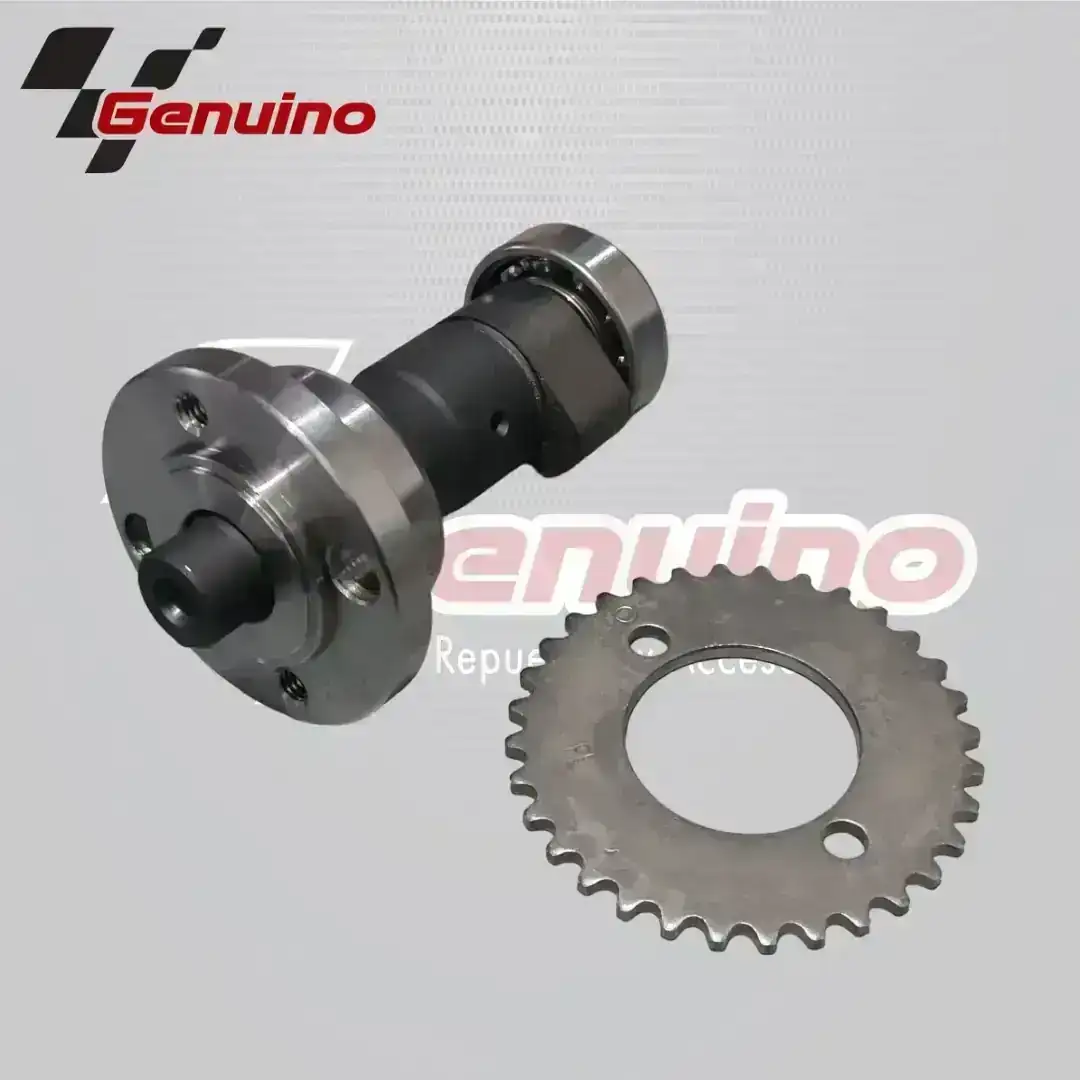 Set arbol de levas ( 6V )