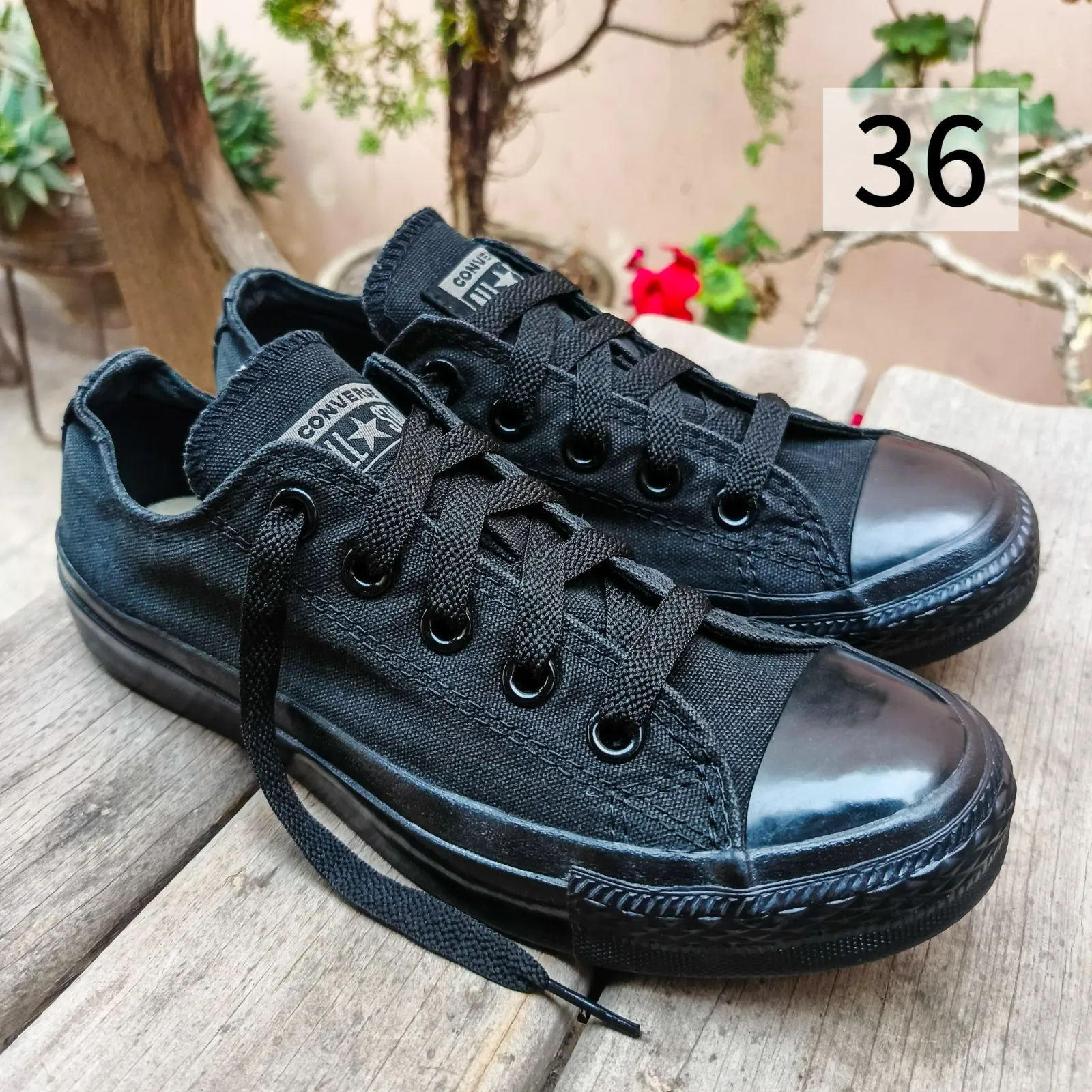 Converse All Star 