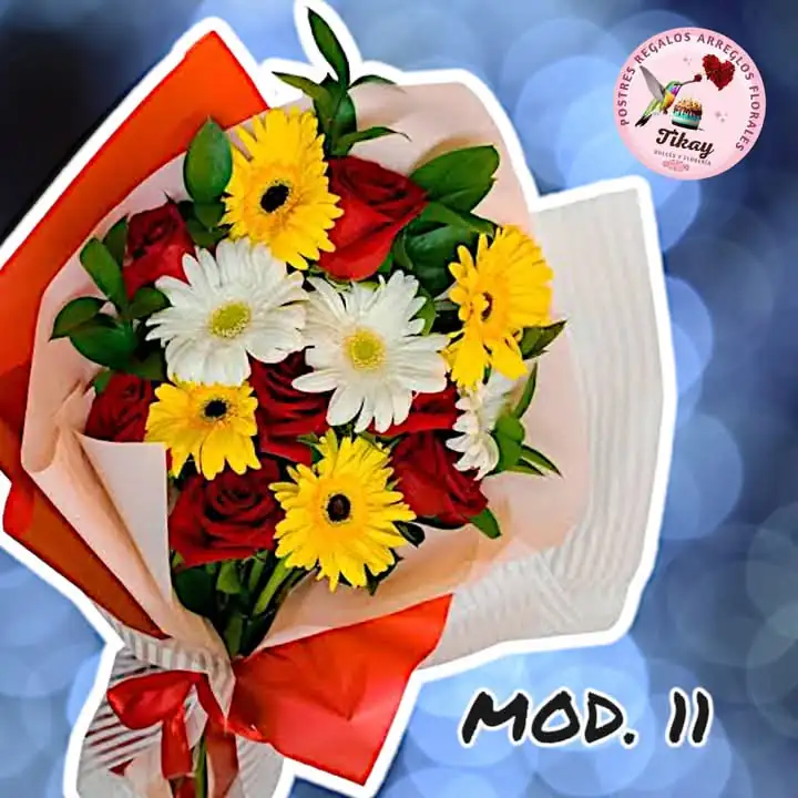 Mod. 11