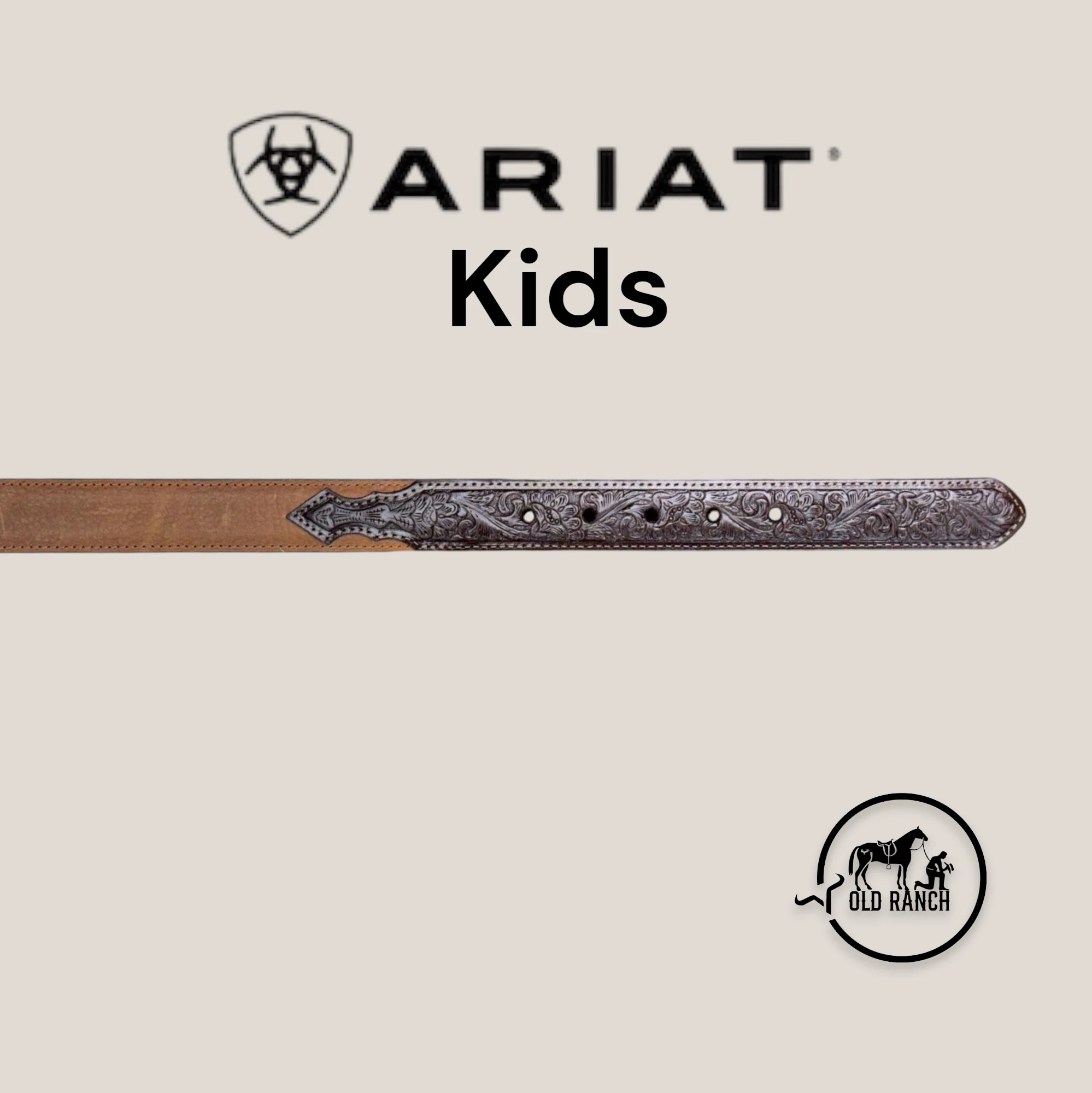 ARIAT 2