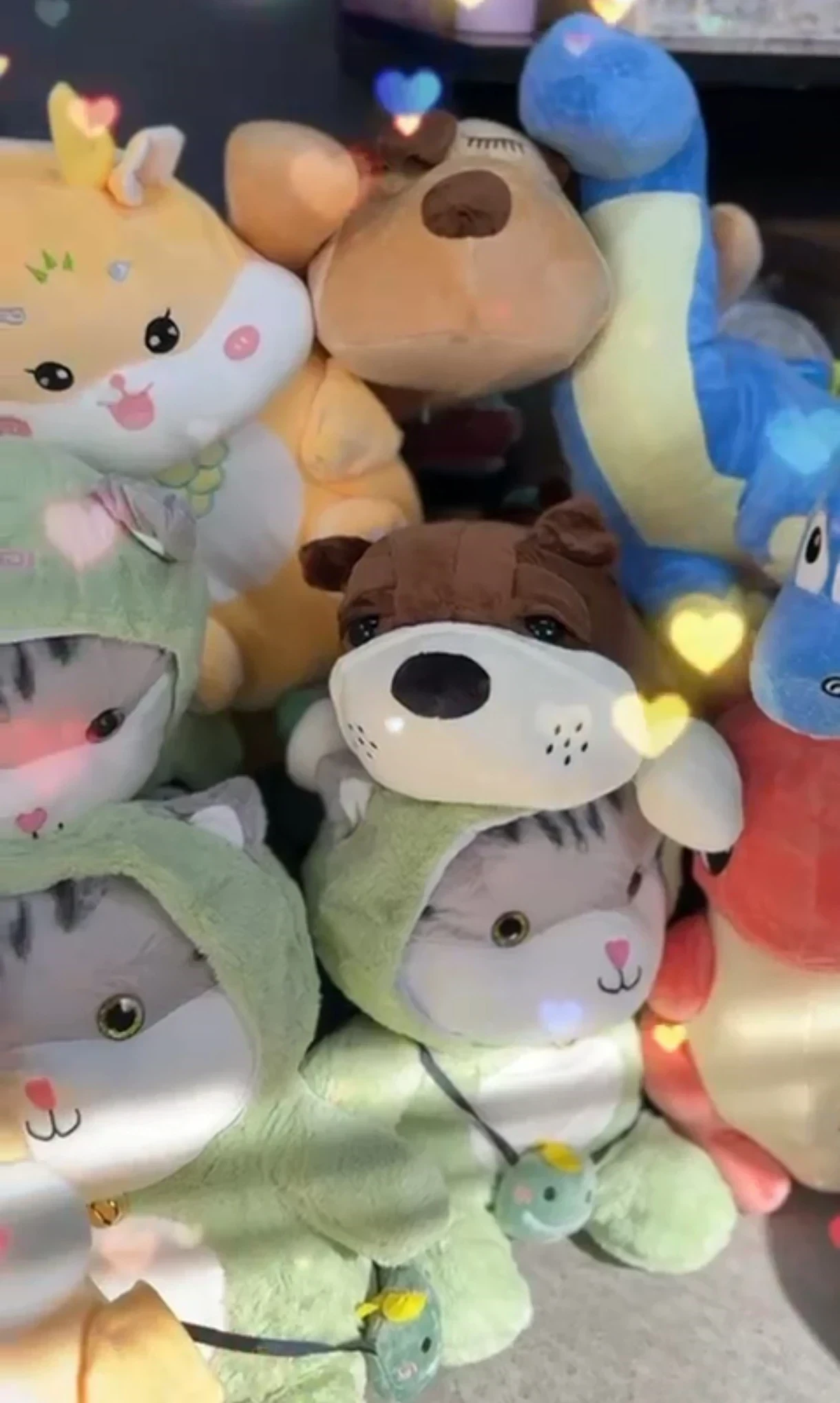 Peluche con Manta  4