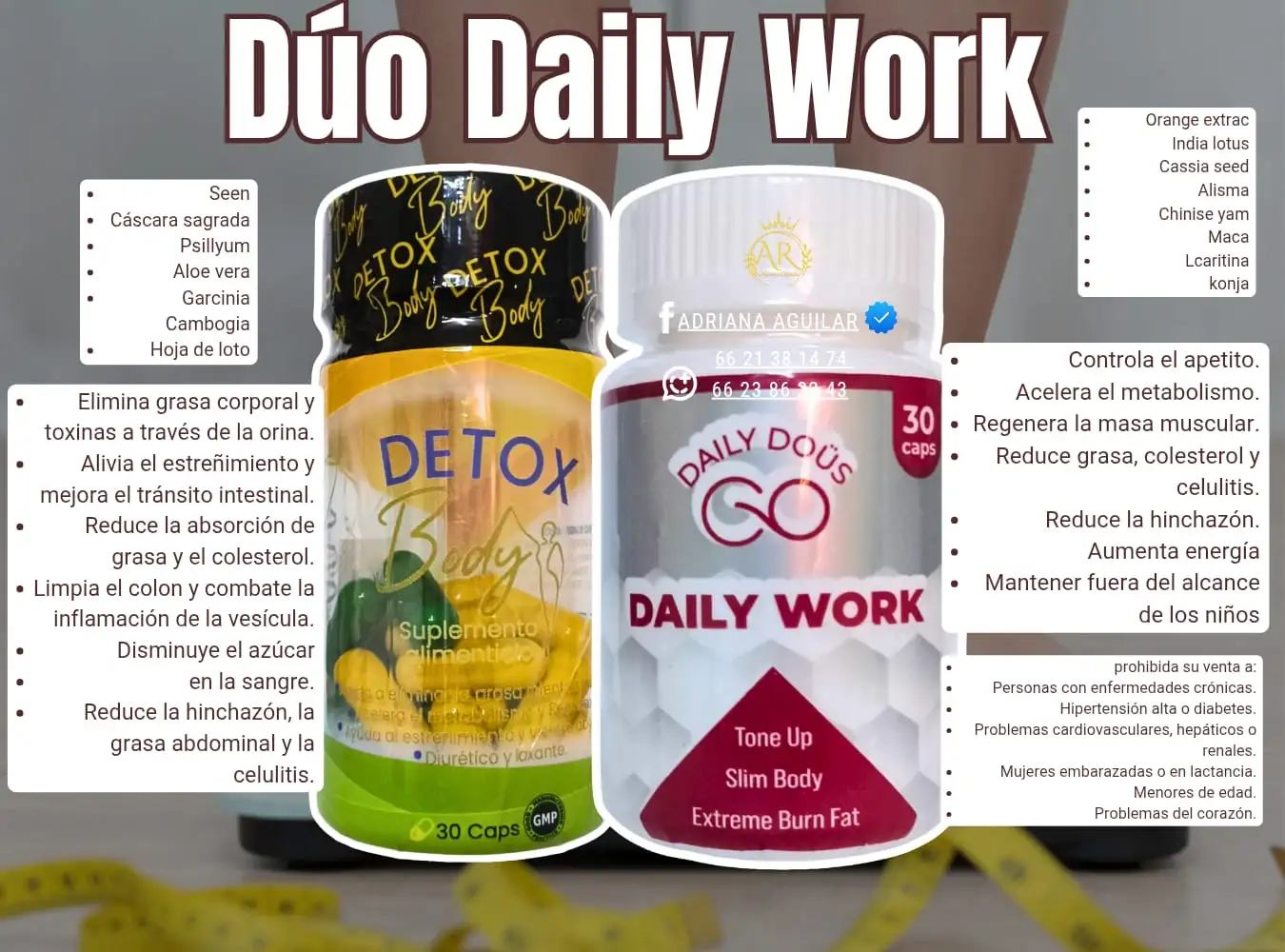 Dialy work  2