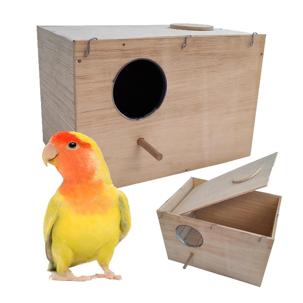 Nido Externo para Agapornis Nid-24