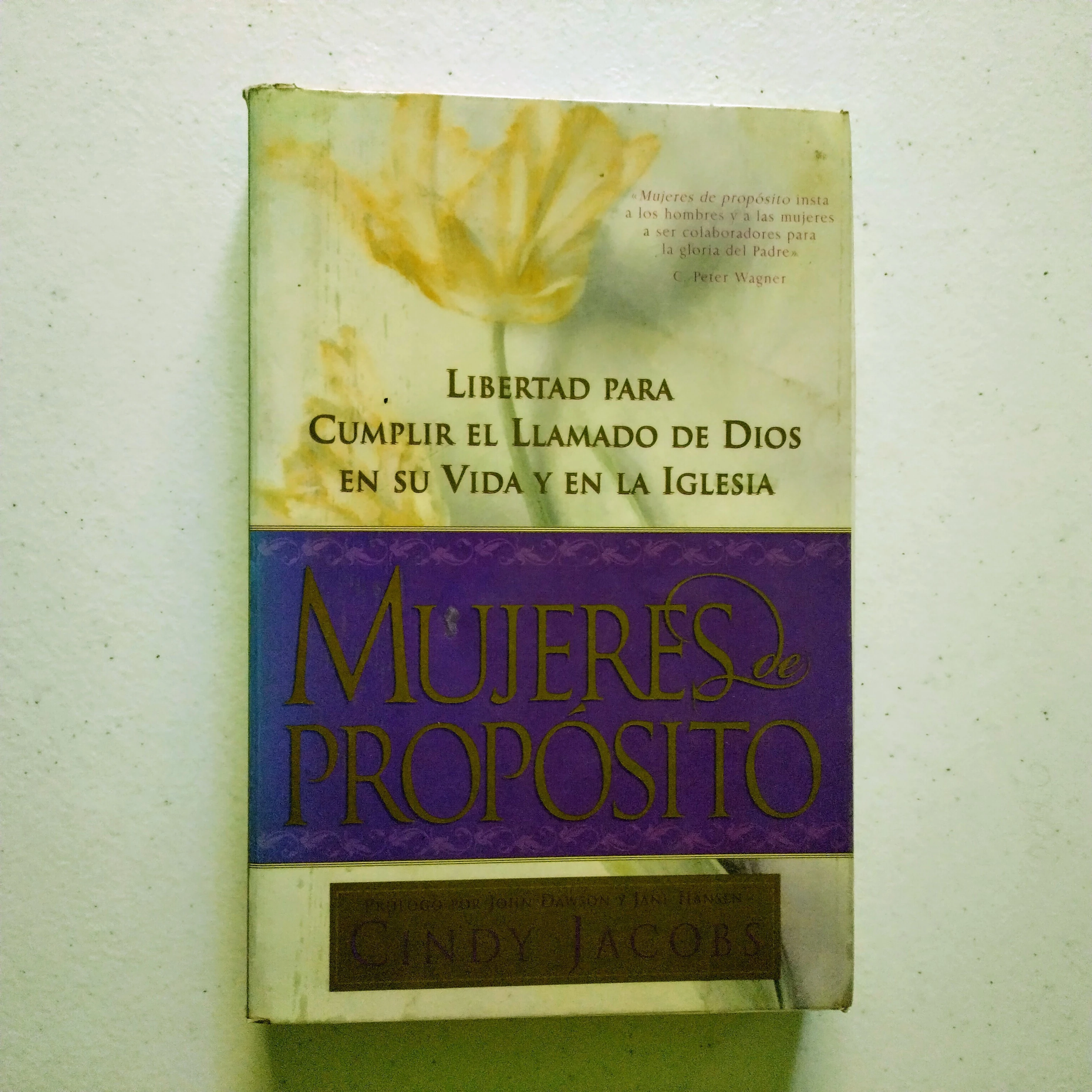 Mujeres de propósito, Cindy Jacobs, usado