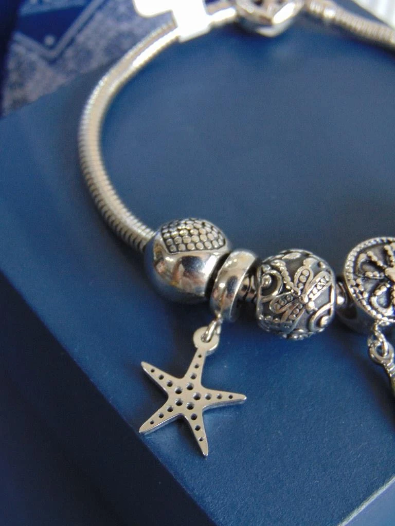 PULSERA ACERO PLATE TIPO PANDORA SUEÑOS 3