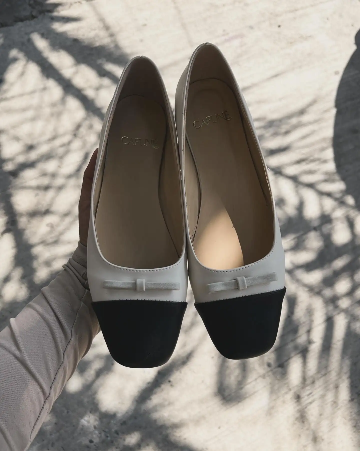 Flats bicolor 