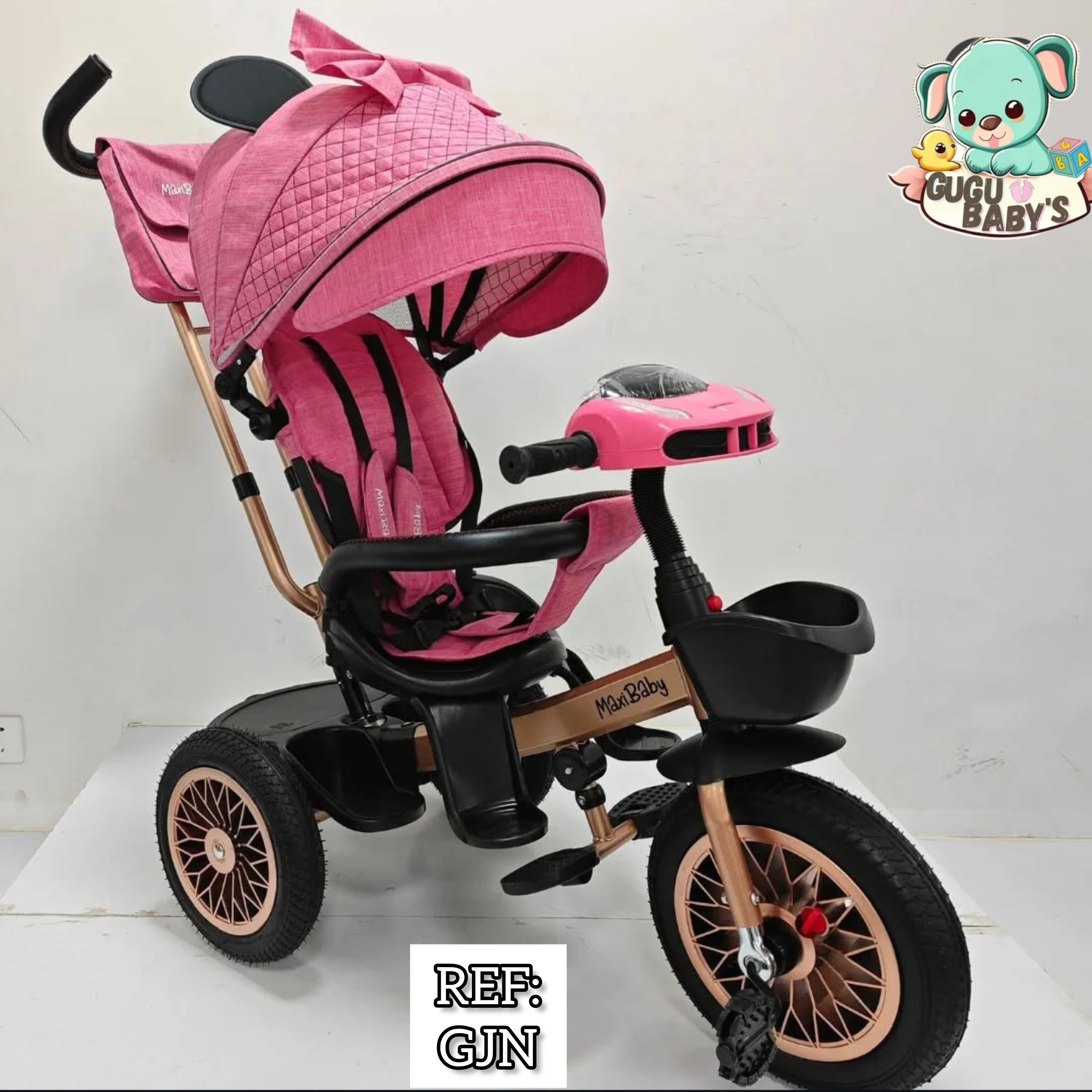 TRICICLO PASEADOR