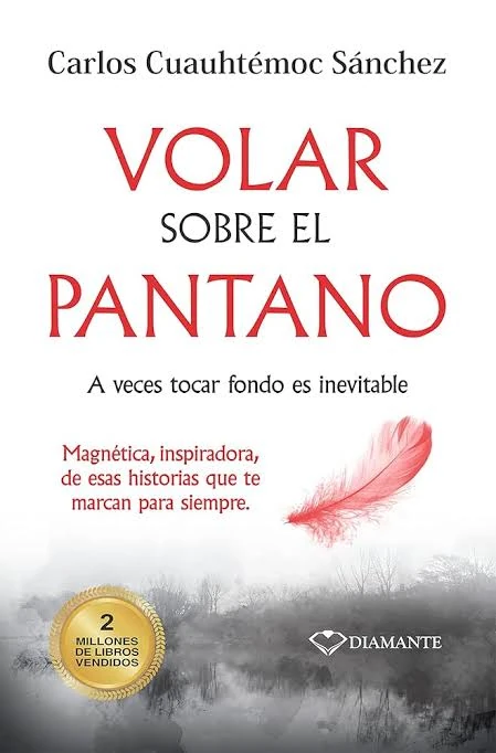 VOLAR SOBRE EL PANTANO 