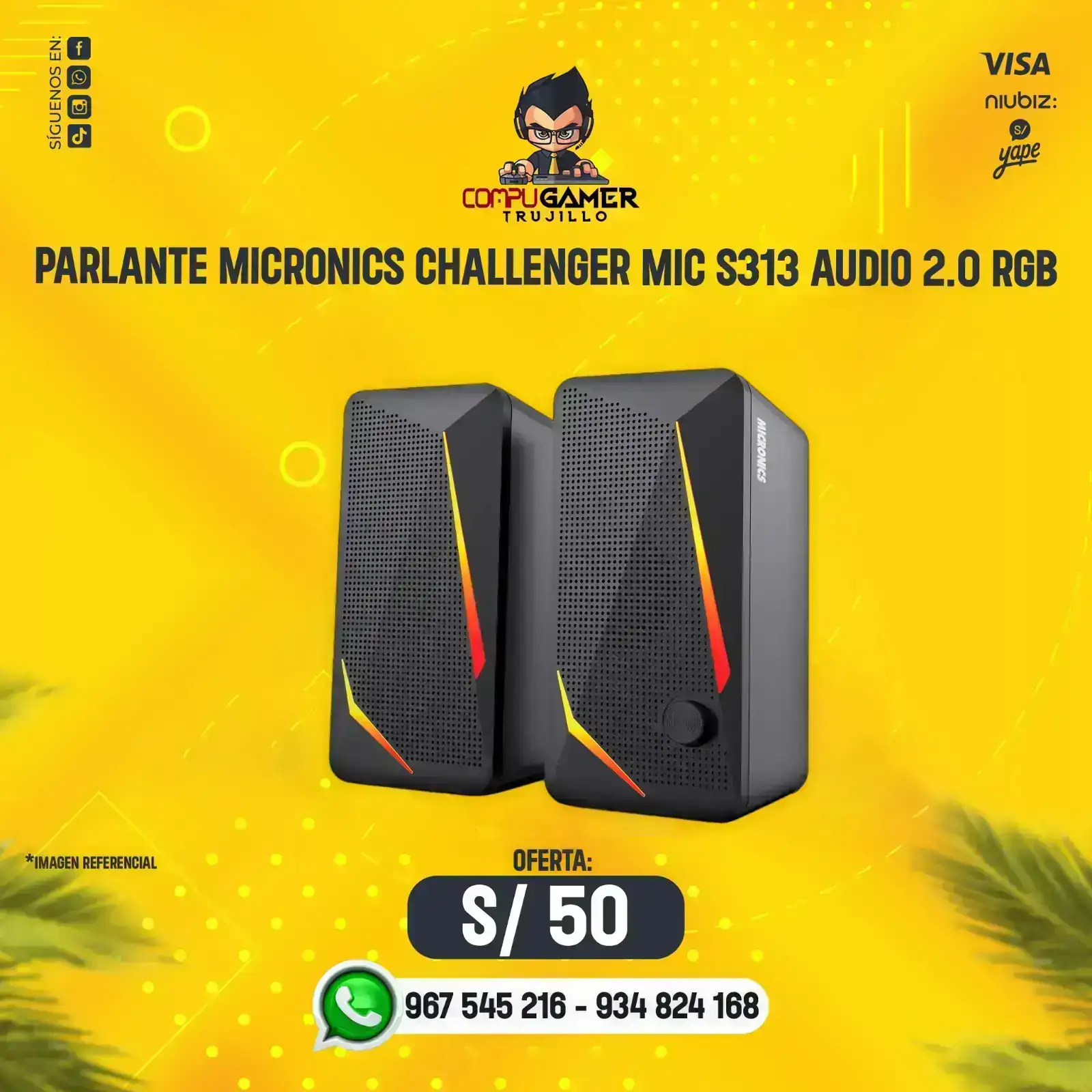 PARLANTE MICRONICS CHALLENGER MIC S313 2.0 RGB