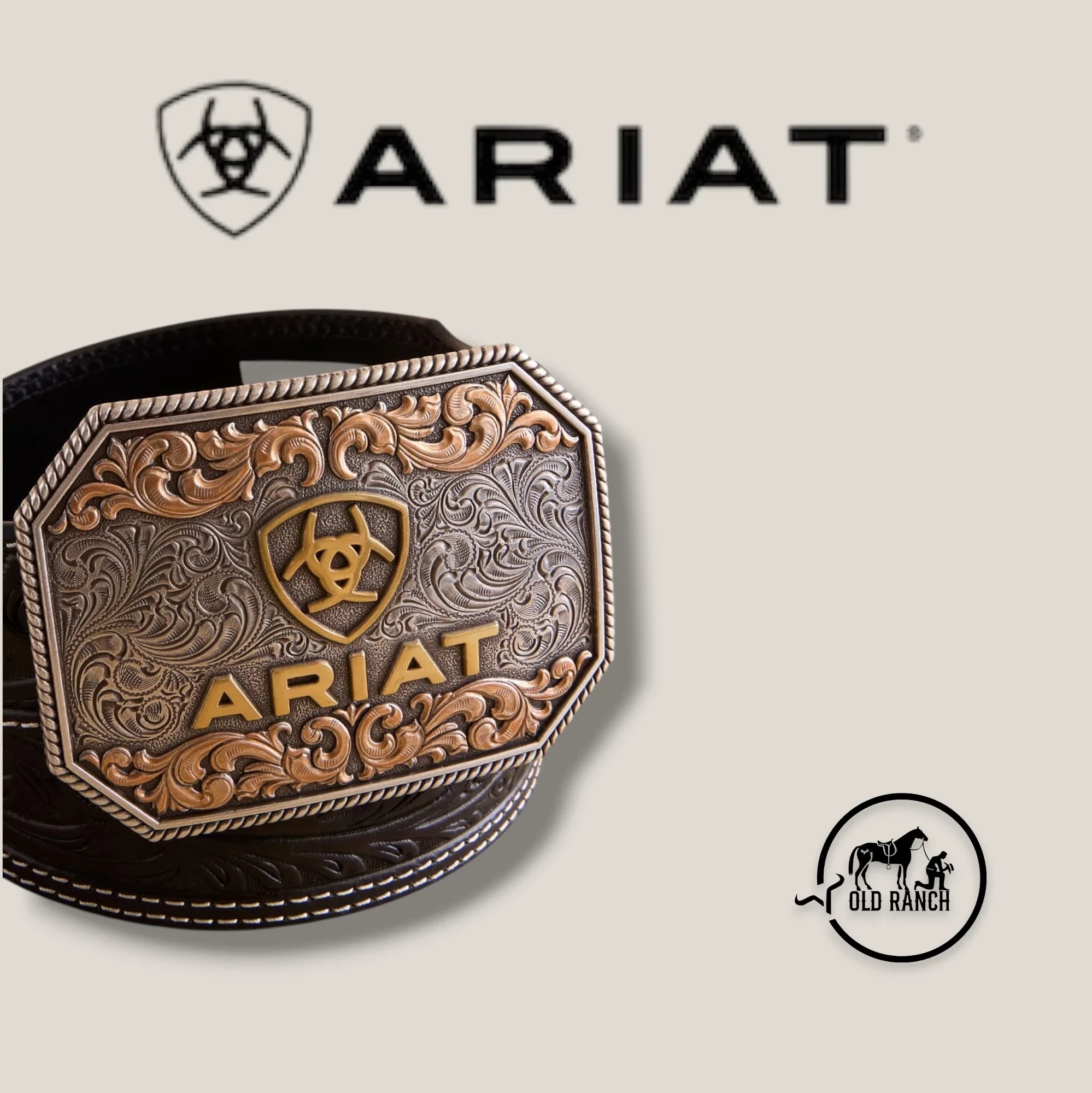 ARIAT 2