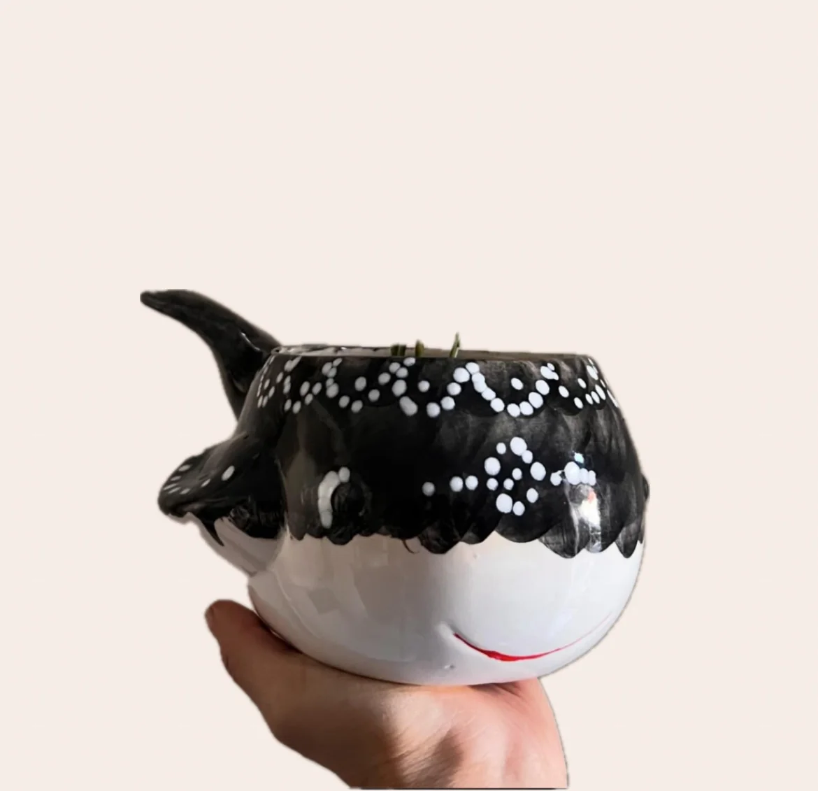 BALLENA NEGRA 2