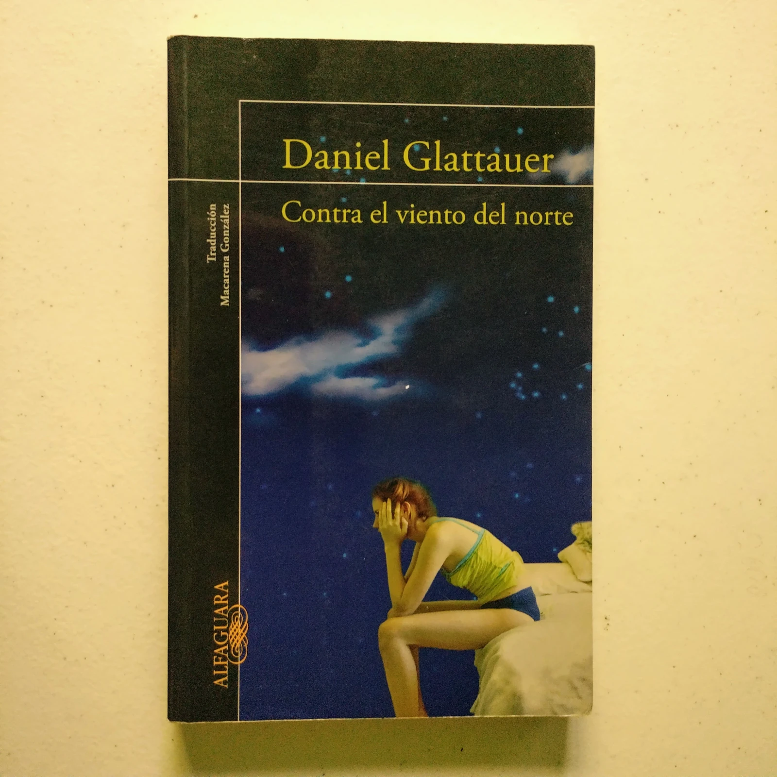 Contra el viento del norte, Daniel Glattauer, usado