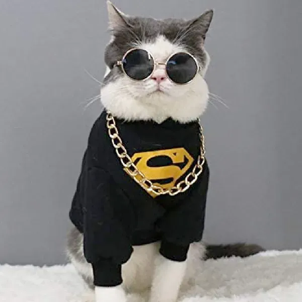 MASCOTAS