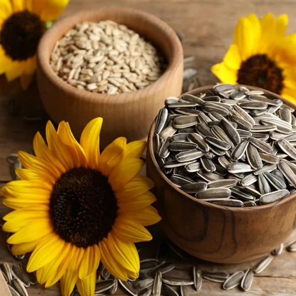 Semillas Flores y Ornamentales