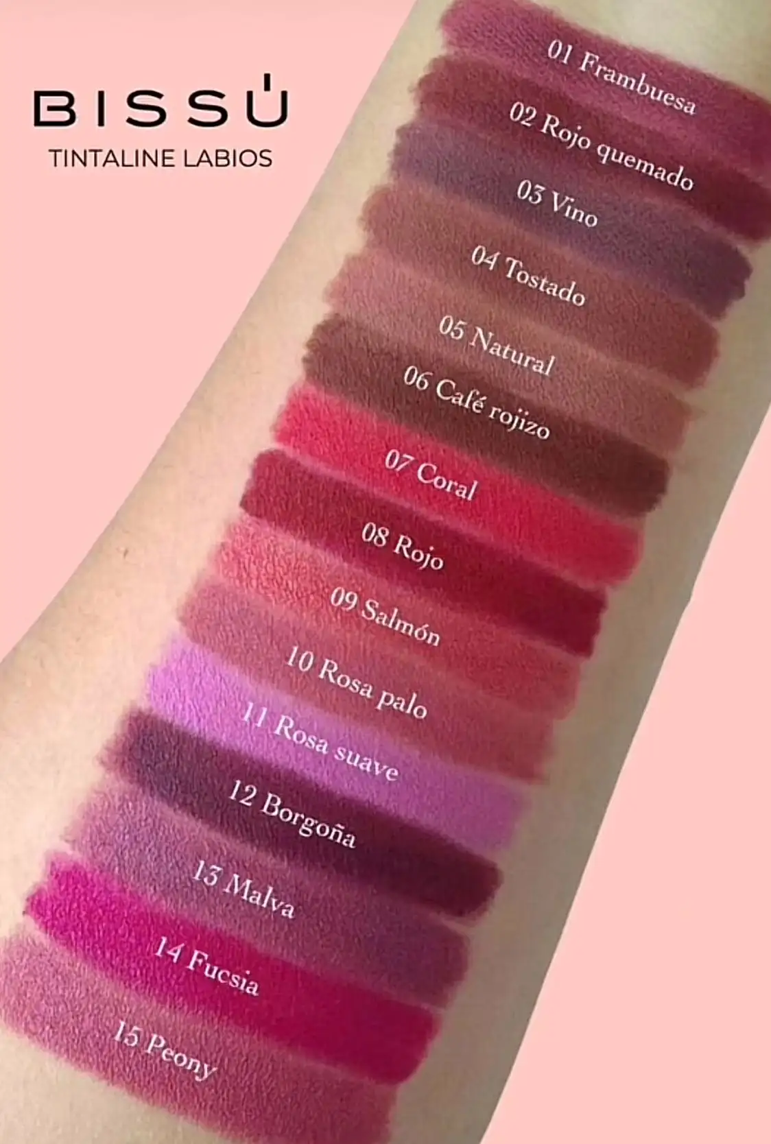 Delineador de labios bissu 2