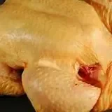 Pollo Campesino 