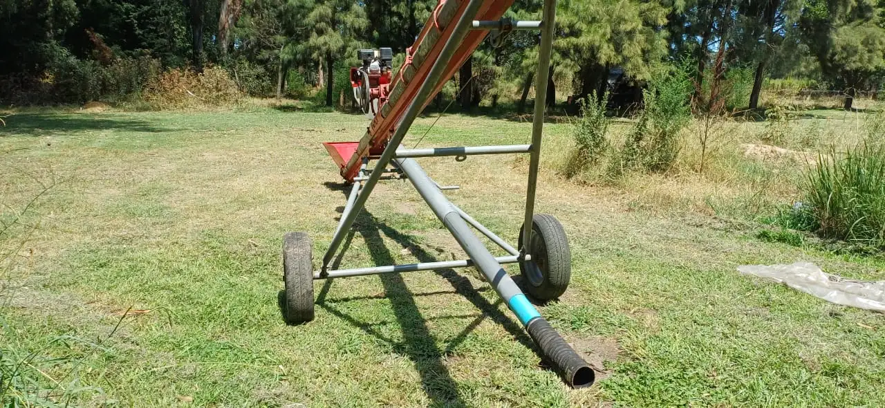 Chimango