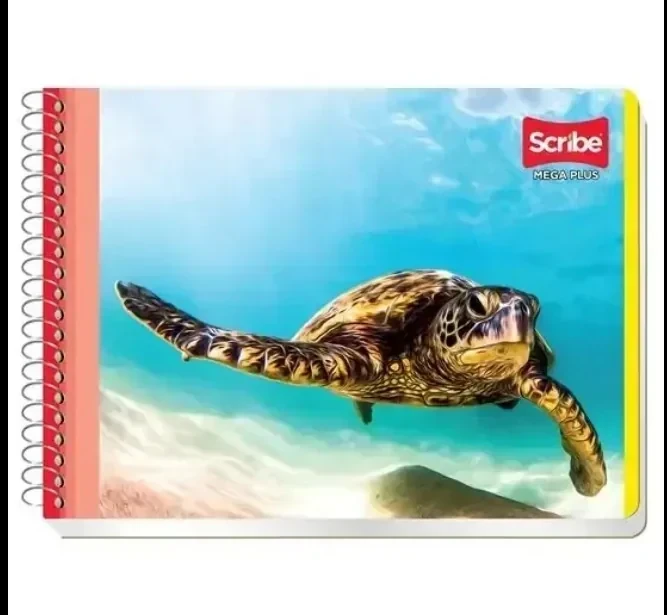 Cuaderno Italiano mega doble raya 100 hojas espiral  3