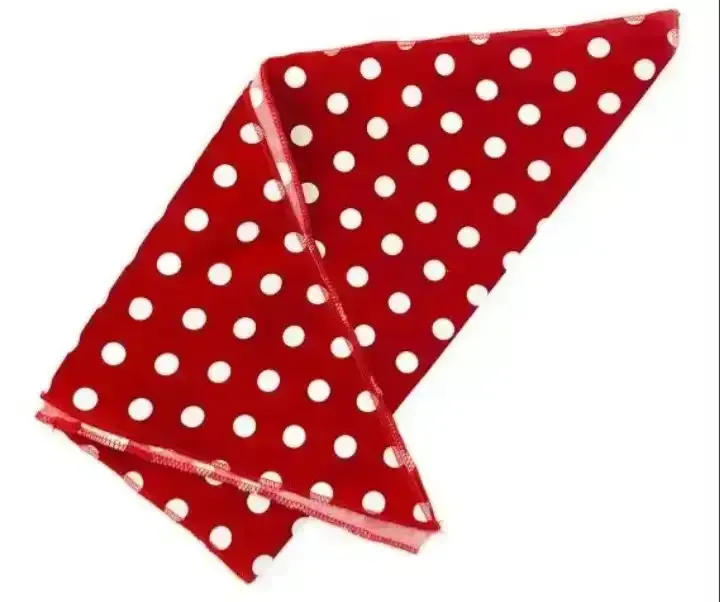 Accesorio patrio pañuelo triangular lunares