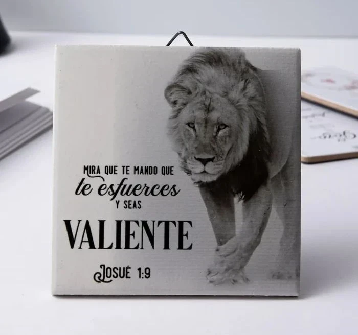 Plaqué de cerámica Valiente
