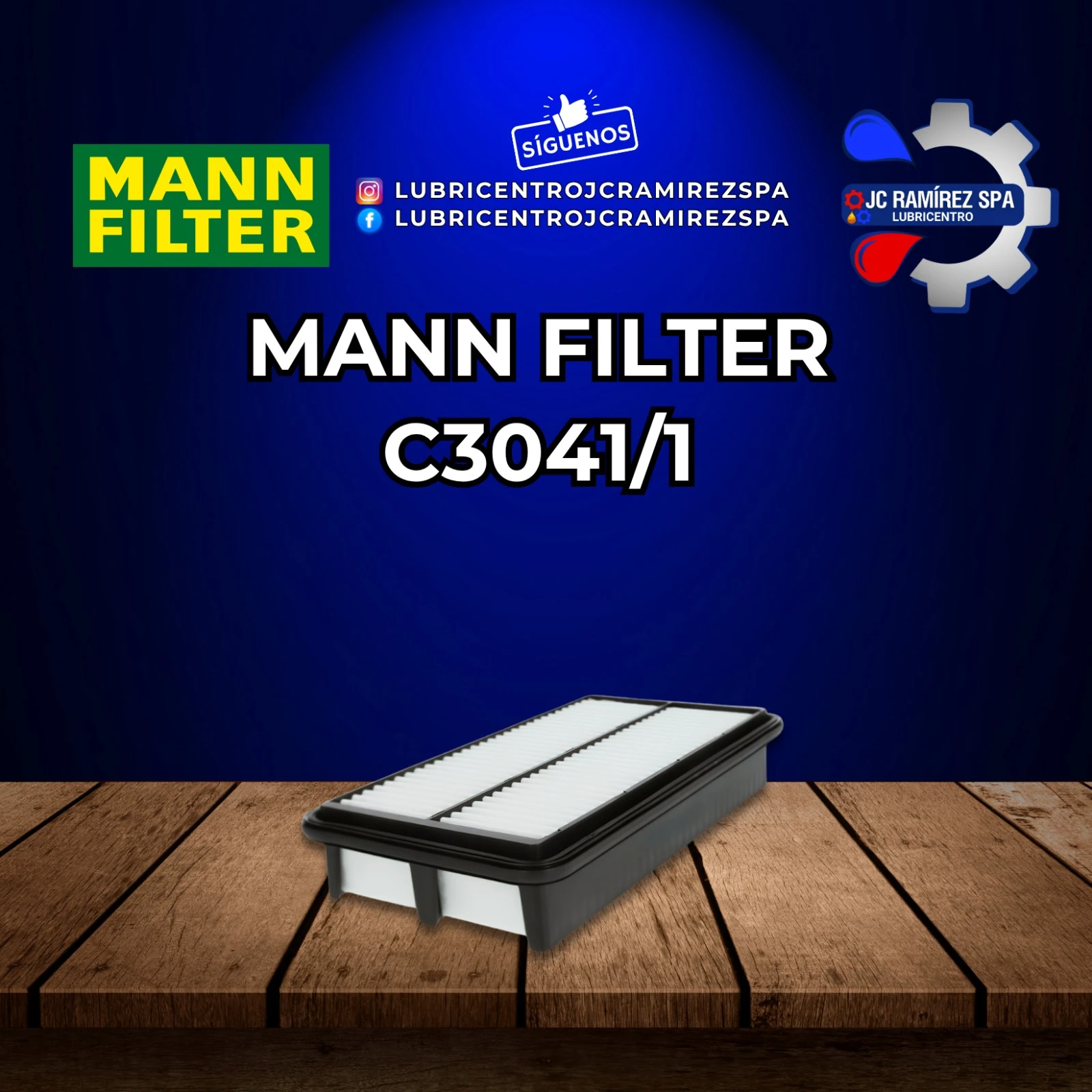 MANN FILTER C3041/1