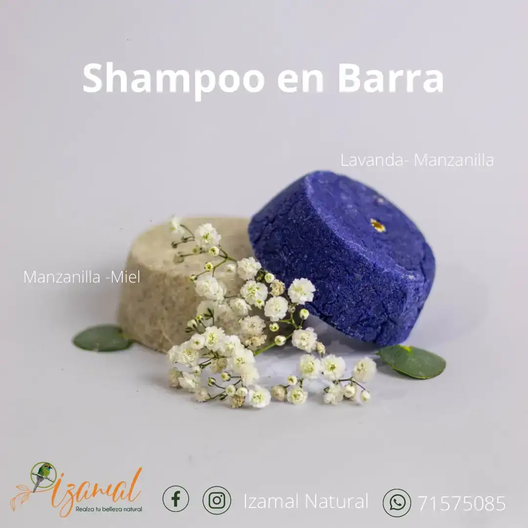 SHAMPOO CABELLO TEÑIDO  2