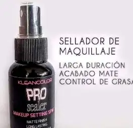 PRO SEALER KLEANCOLOR 