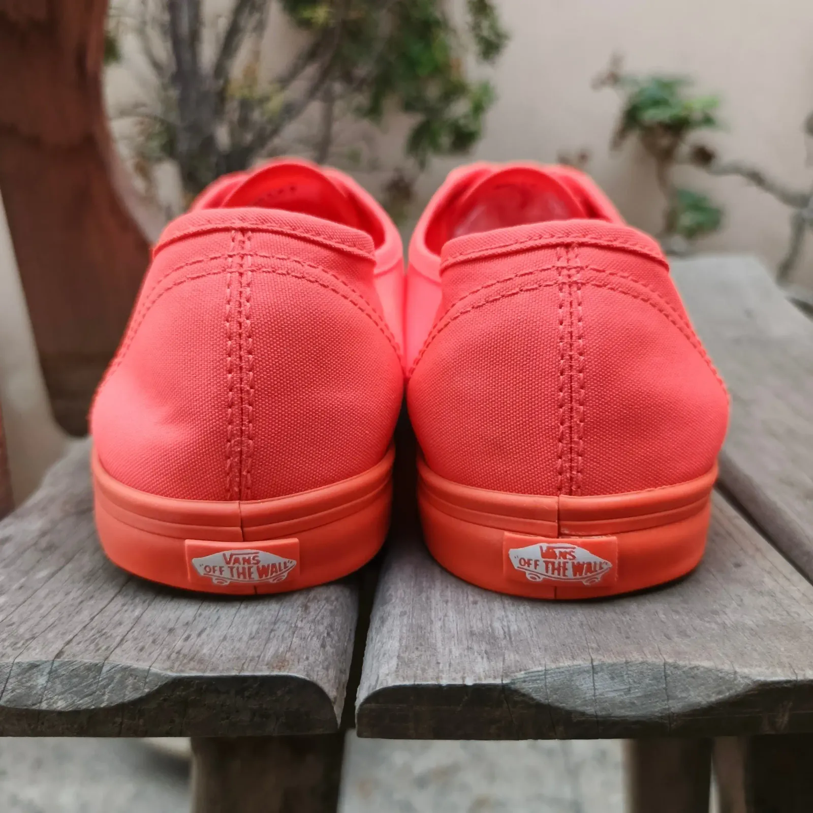 Vans 3