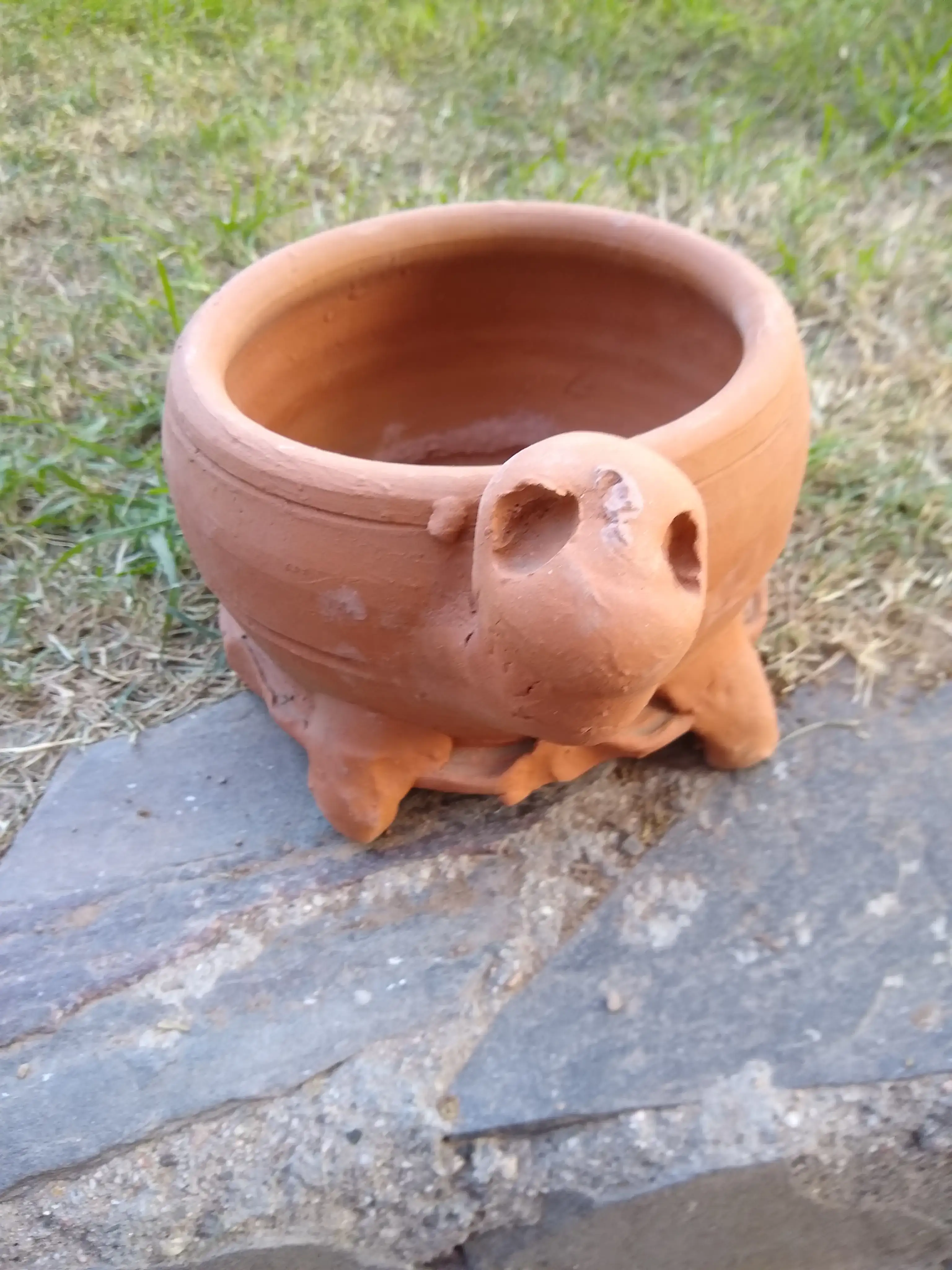 Maceta Terracota Tortuga 2
