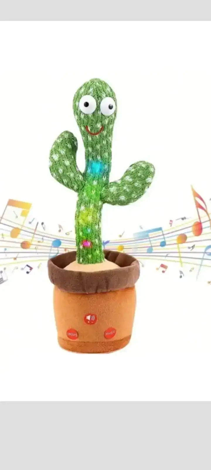 Cactus bailarín 