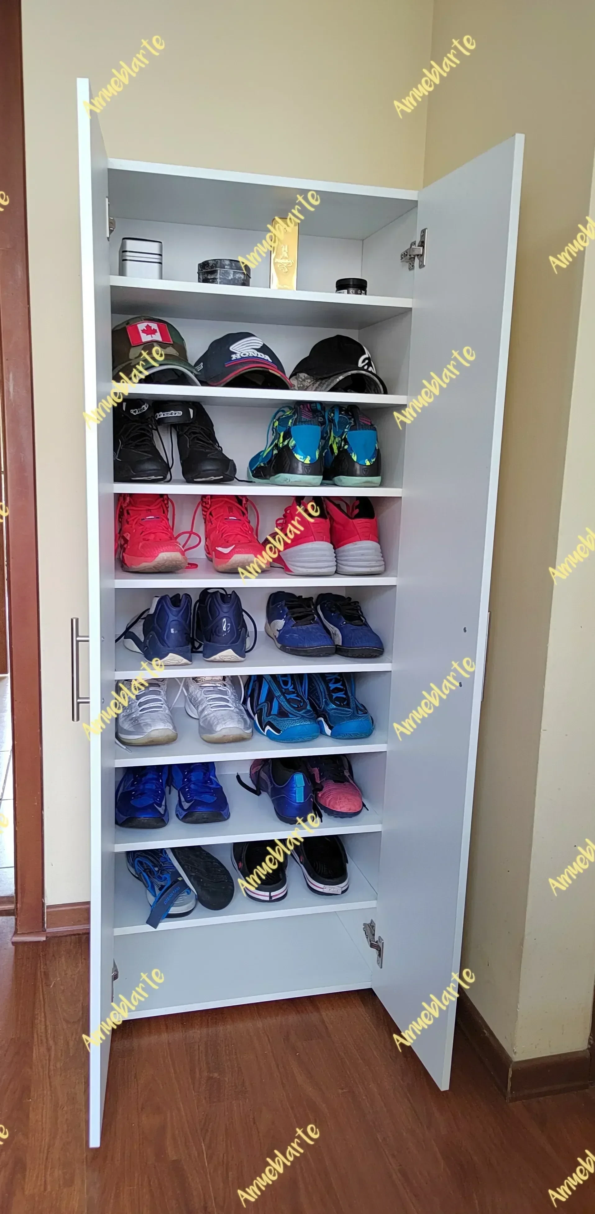 Zapatera Midland  4