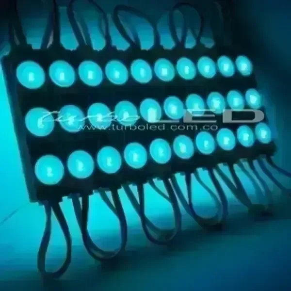 MODULO ECO LUPA 12V (103006)