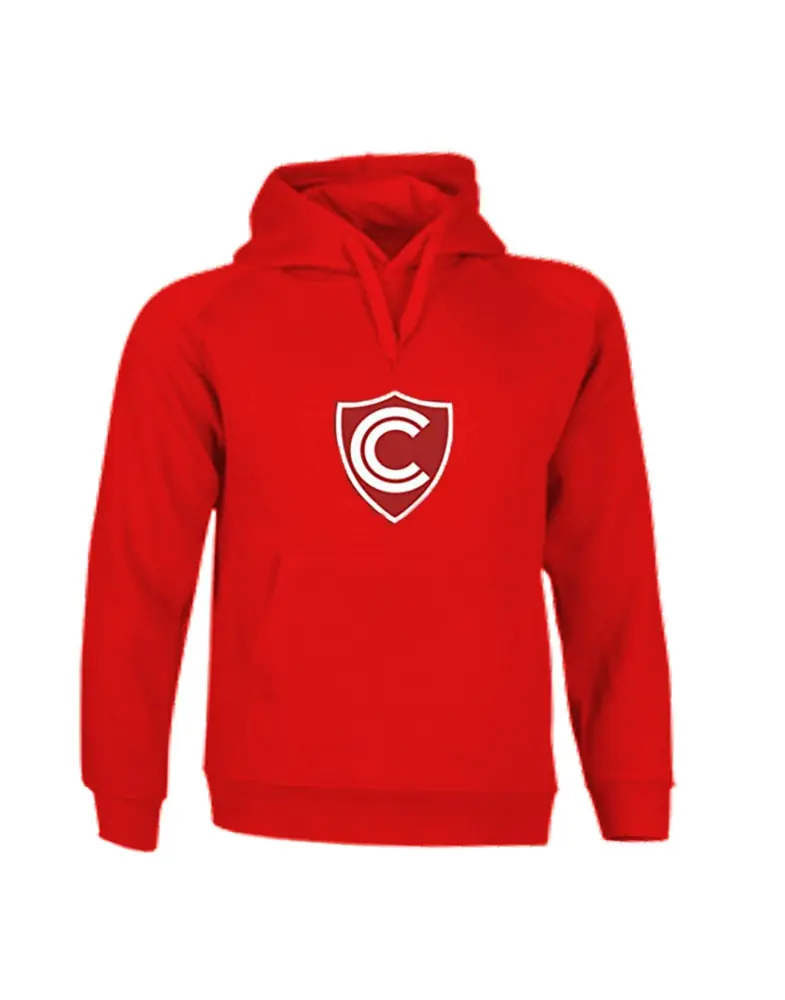 POLERA CON CAPUCHA DE CIENCIANO