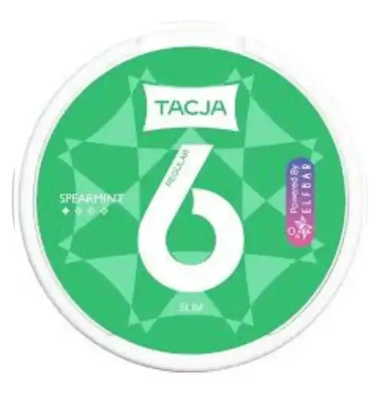 Snuss Elfbar Tacja Spearmint