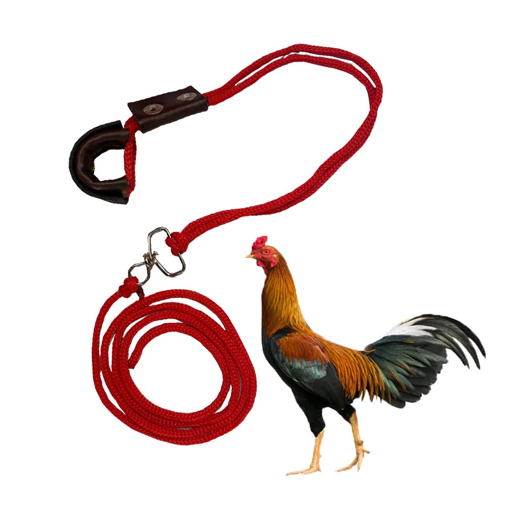 Traba de Cuero para Gallo TCG-2