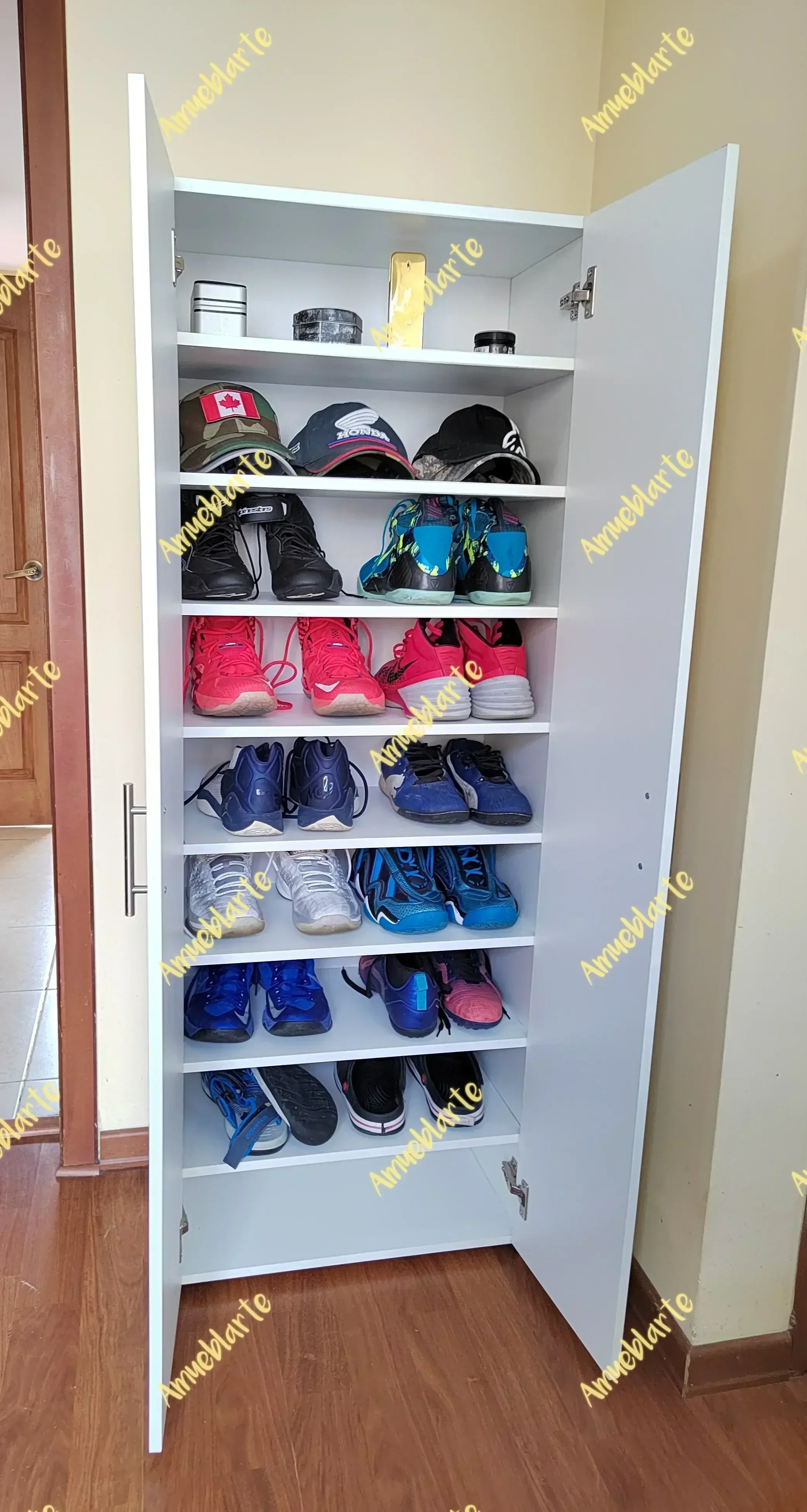Zapatera Midland  2