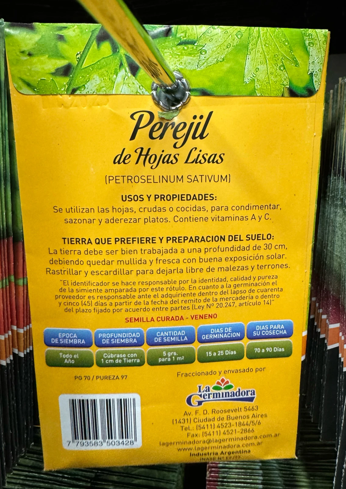 Semillas de perejil  2