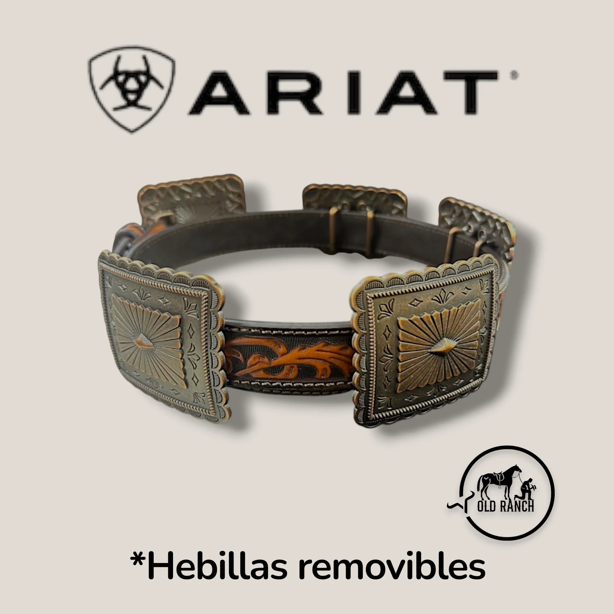 ARIAT 2