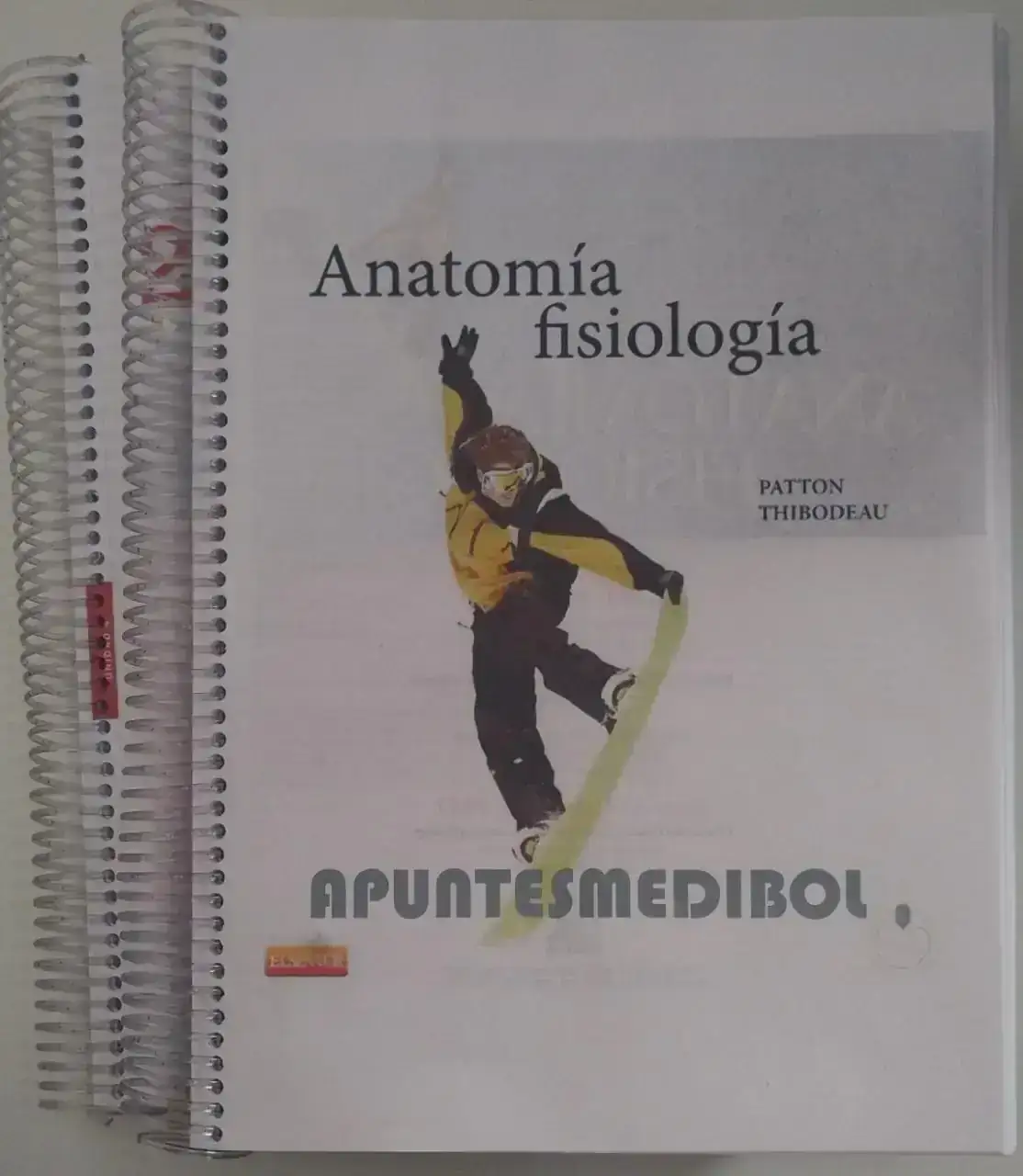 Anatomía Fisiología 