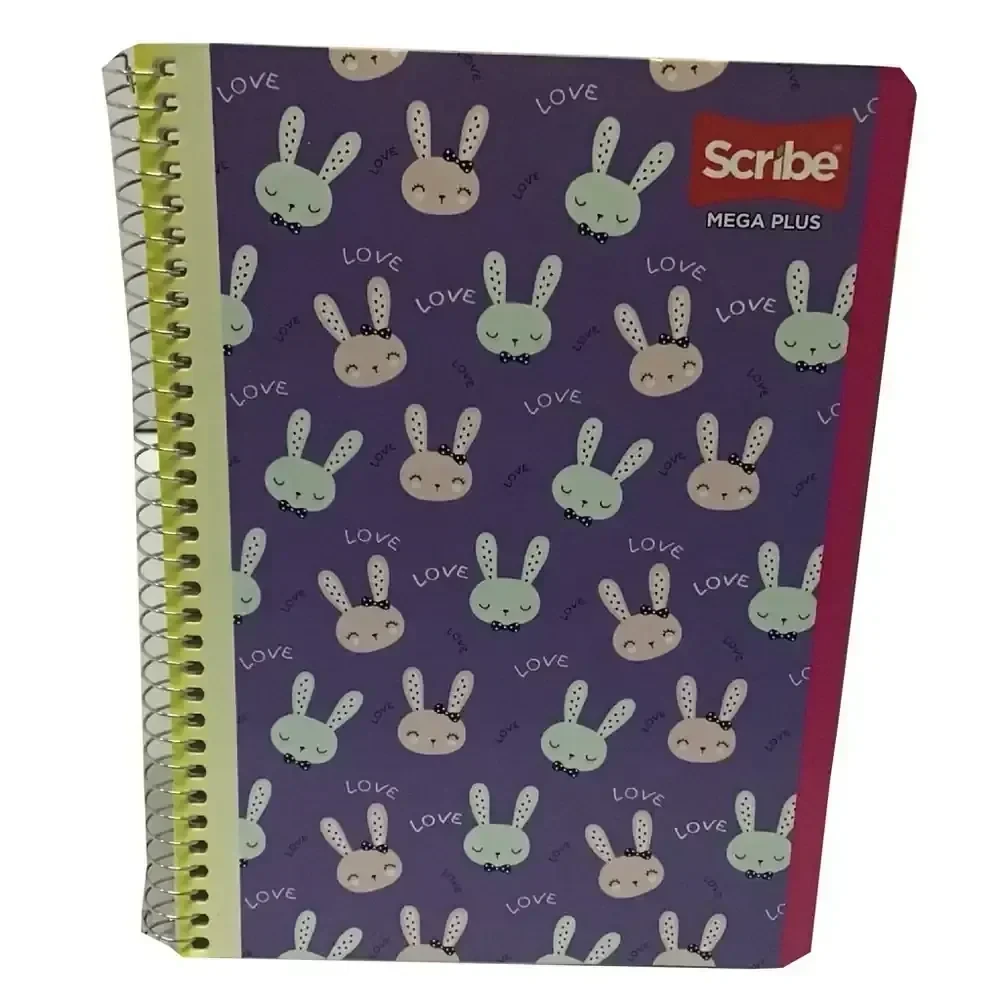 Cuaderno francesa c5 mega 100 hojas espiral  4