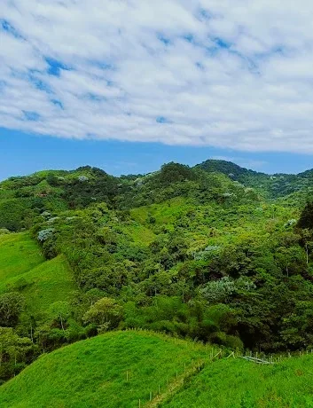 PEREIRA A MARSELLA RISARALDA SENDERO CACIQUE NONA 2