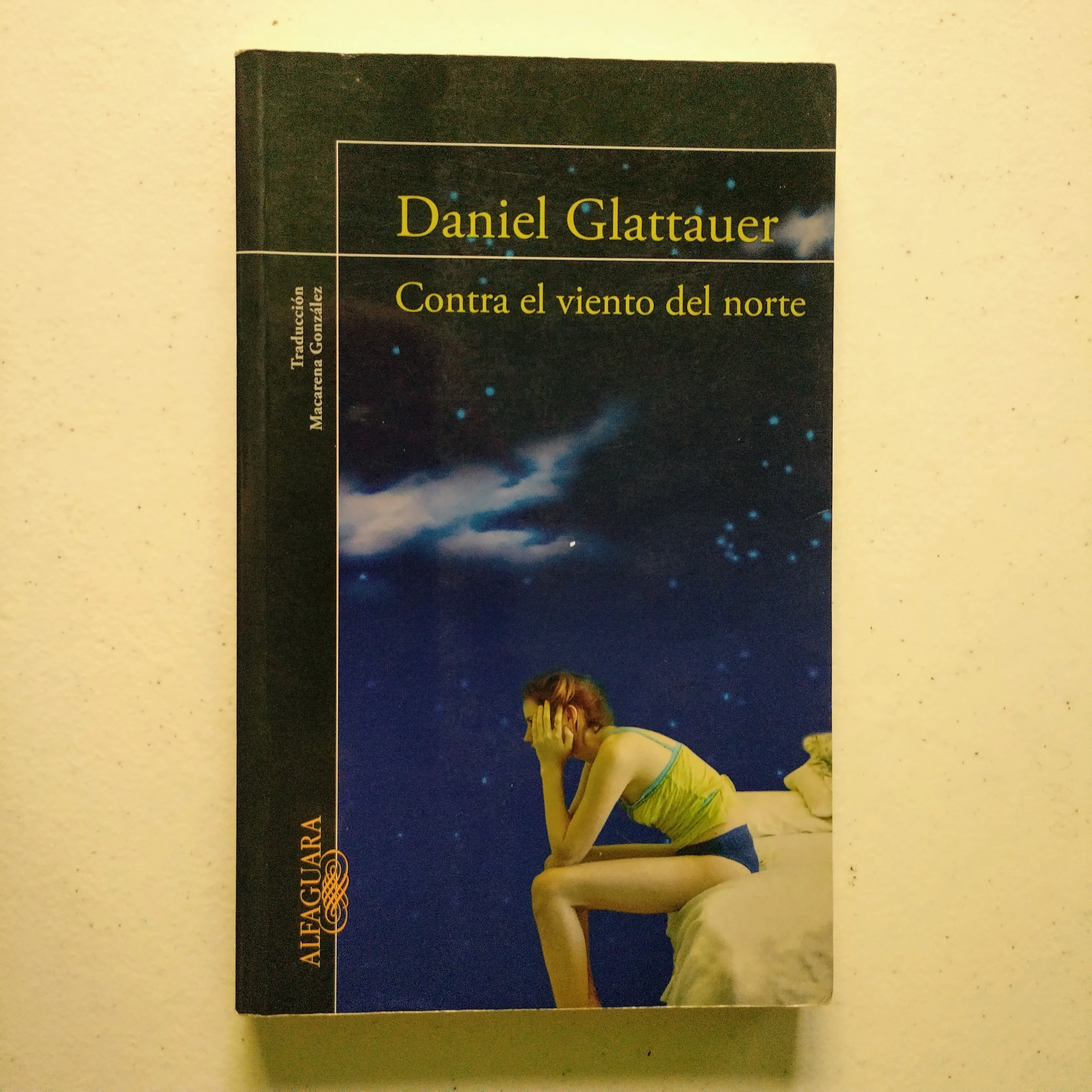 Contra el viento del norte, Daniel Glattauer, usado