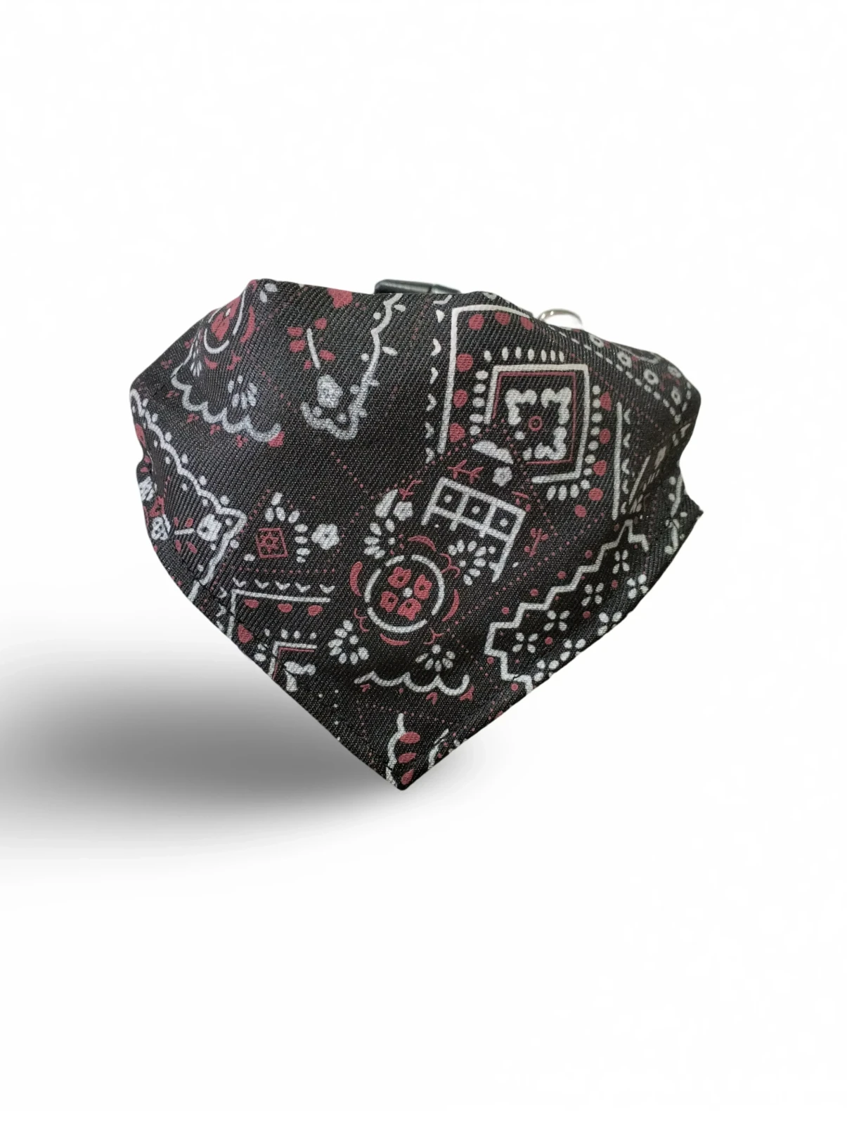 Collar S Paleacate  3
