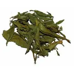 STEVIA