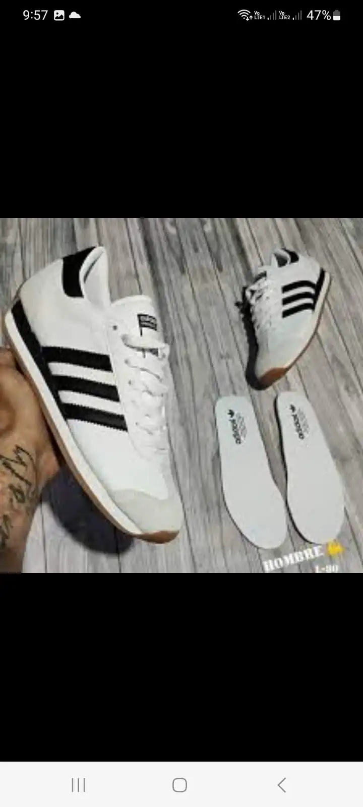 Modelos Nuevos 3
