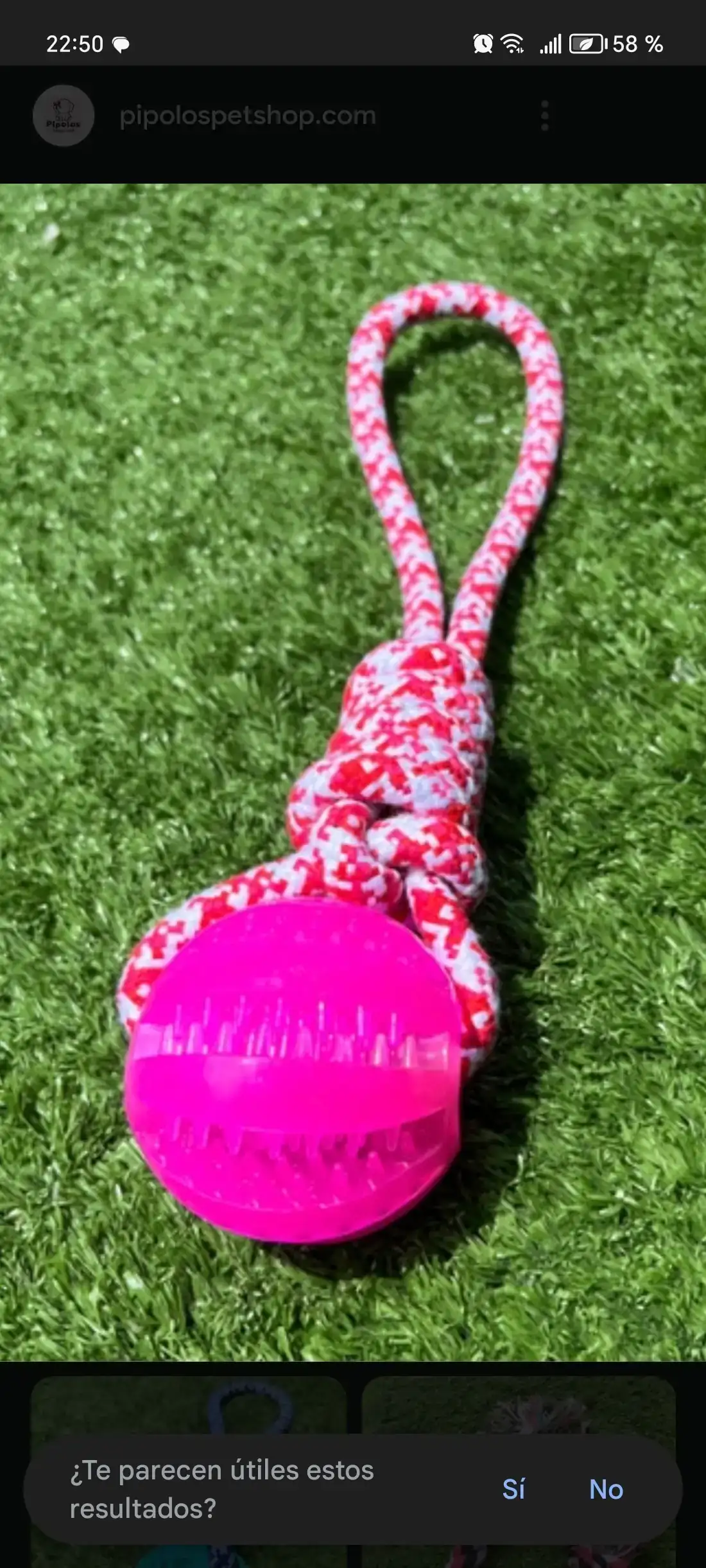 PELOTA CON SOGA