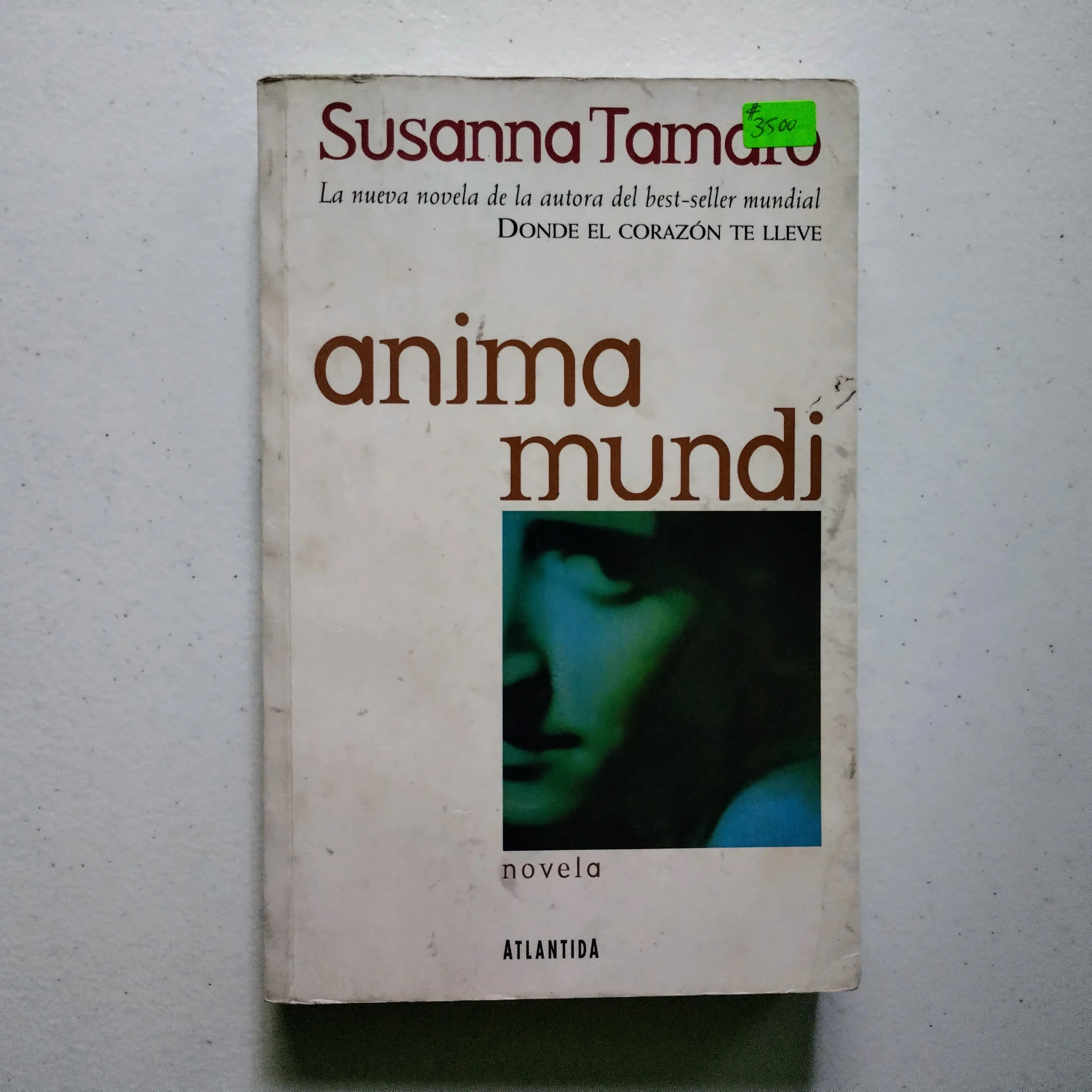 Anima mundi, Susanna Tamaro, usado